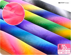 オーガンジー生地 俺のグラデーション グラデーション オーガンジー 衣装 コスプレ ディスプレイ レインボー ハロウィン クリスマス コスチューム コスプレ イベント 文化祭【生地・布】数