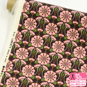 y_tf[̓|Cg10{zyoeBvgzR[fCRevival/oCoi21-3631202S87-cga J21B 21BjLIBERTY 2021H~ ׃R[ R[VynEzz 65126 844860