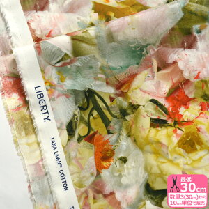 y}\̓|Cg3{zyoeBEt@ubNXzFrozen in Time/t[YECE^Ci24-3634219 24AU 24CUjԕy^i[EnEzz 3(30cm)10cmP 4784