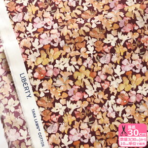 yoeBEt@ubNXzLily Jane/[EWF[i24-3634249 24AU 24BUjԕ ʁy^i[EnEzz 3(30cm)10cmP 4784