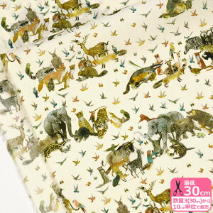 yoeBEt@ubNXzJungle Crumble/WOENui24-363J4201 24AU 24DUjChX~XYE_tE[hy^i[EnEzz 3(30cm)10cmP 6420 65126