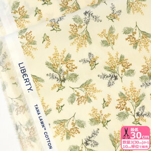 y_tf[̓|Cg10{zyoeBEt@ubNXzMs Mimosa/~YE~Ui24-363J4223 24AU 24DUjԕ ~Uy^i[EnEzz 3(30cm)10cmP 5153