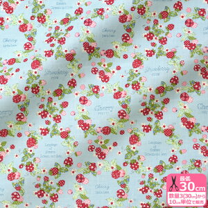 yC[OXӍՂ̓|Cg3{zyYUWAzx[`F[̃[XiV[eBOjR֎qynEzzAT826739 3(30cm)10cmP 7136