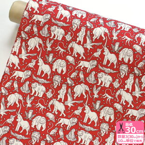 yoeBvgz11zMidnight Mischief/~bhiCg~X`[tiDC29894-COC J19A J19FjLIBERTY 2019AW oeBNX}X2019ynEzz8653 65126