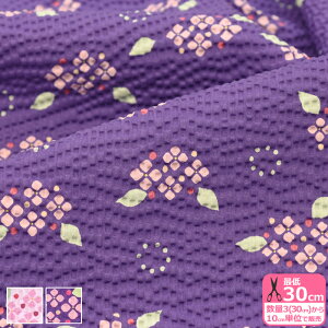 y}\̓|Cg2{zyǂ̂ځzibvjsN̂񂾘a bvn qynEzzECB-55 3(30cm)10cmP 374314