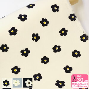 yC[OXӍՂ̓|Cg3{zVvt[vgiVcR[jR[fC VcR[ ׃R[  ԕ ݃J[ynEzzHSK748 3(30cm)10cmP 2042