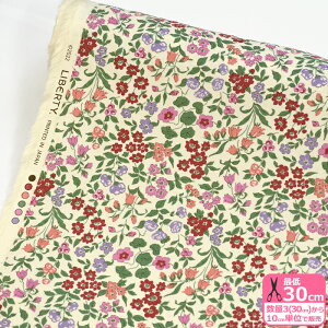 y}\̓|Cg3{zyoeBvgzR[fCLilibet/xbgi22-3632218L133-CGA 22A J22Bj2022AW LIBERTY CorduroyynEzz 3(30cm)10cmP 5924 65126 844860