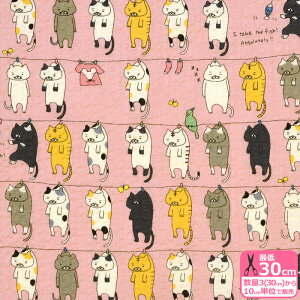 y_tf[̓|Cg10{z˂̐󊱂i|vbvjL L lR lR ɂ j[N |v bv bvn vgn qynEzzKTS7086 3(