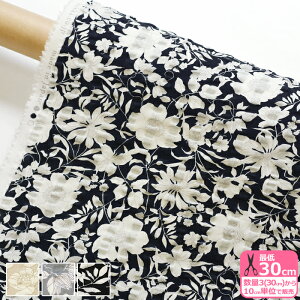 zCgt[iRbgrGbvj bvn ԕ Vv l ĕ \[CO bv  n DynEzzNFA-66100-101 3(30cm)10cmP 5015 0453 668671