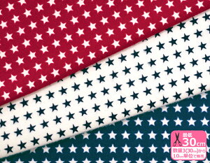 y_tf[̓|Cg10{zꂢɕ񂾃X^[vglNсynEzz99024-1 374314