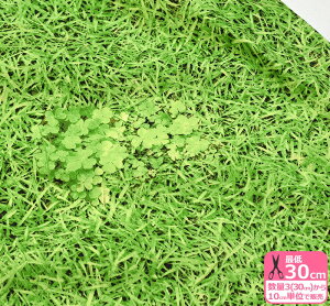 【ぷらんぷ ちぃくす×kokka】芝生でゴロントリックバスケットに続く?!芝生柄【綿100%・10番キャンバス】【生地・布】