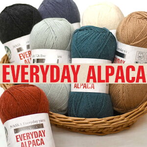 GōIEVERYDAY ALPACA GufCApJyюz 100gʊ(300m) ApJayzցzN-108j _j ҂ ҂ݕ | nhChXg[ Lbv xXg vI[o