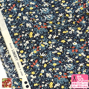 yX[p[SALE̓|Cg10{zyoeBvgzStrawberry Patch Sparkle/Xgx[Epb`EXp[NiDC31037 J20A J20B J20C J20DjLIBERTY 2020AW Berry Christmasy^i[EnEzz 65126