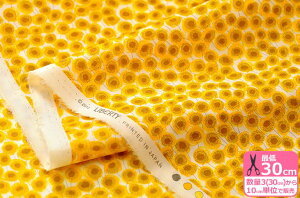 y}\̓|Cg2{zyLIBERTYEԁzXanthe Sunbeam(UW[ETr[)3633151@AE^ZEynEzz