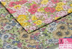 y}\̓|Cg3{zyLIBERTYEԁzGloria Flowers iOAt[Y )DC10480ynEzz