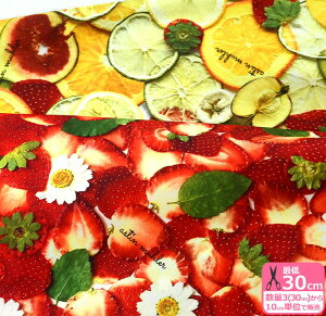 y_tf[̓|Cg10{zastin muhler AXeB [[ Part.2i|GXe^t^jC^t^iAMF-07jt[c~bNX^t^iAMF-08jynEzz