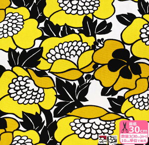 y_tf[̓|Cg10{zyFinlaysonzANNUKKAAkbJiIbNXjFINF-09_ȉԕ 70NA[JCu 100 110cmЁynEzz̐́u3v