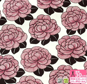 yFinlaysonzSYLVIVBiIbNXjFINF-11@ׂȐŕ`ꂽԕ 100 110cmЁynEzz̐́u3v