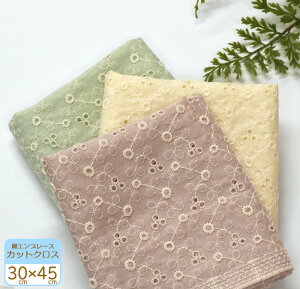 ȃGu[X̃JbgNX [Xn hイn JbgNX [n 30cm×45cmynEzzKF664