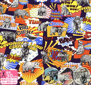 y_tf[̓|Cg10{zAR~R~bNxA[ ȖLoXAȃN}ynEzzKTS-6727̐́u3v