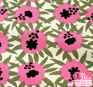 ̕z PliRbgLoXj ԕ LoX ԕn 啿 t[vg Rbg΂₵ynEzz3(30cm)10cmP