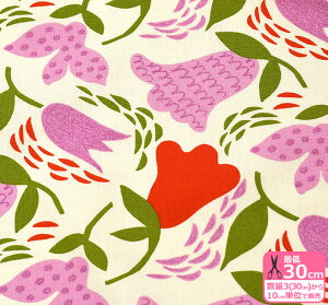 ̕z Ԃ炵iRbgLoXj ԕ LoX ԕn Rbg΂₵ VvynEzz3(30cm)10cmP