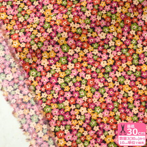【リバティプリント】Floral Charm/フローラル・チャーム(22-3632104 22CT)LIBERTY 2022SS THE WONDERFUL FANTASTICAL【タナローン・生地・布】 数量3(30cm)から10cm単位 65126