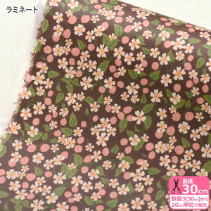 �y���o�e�B�v�����g�z���~�l�[�gKaren's Choice/�J�����Y�E�`���C�X�i22-3632204-ZZD 22CT�jLIBERTY 2022AW THE HOUSE OF LIBERTY�y���n�E�z�z �r�j�R �r�j�[���R�[�e�B���O ����3(30cm)����10cm�P�� 5992 65126