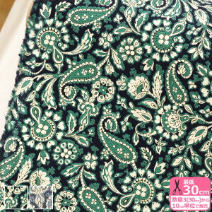 yoeBvgzR[fCTheodore Manor/ZIhAE}i[i22-3632233L160-CGA J22A J22Bj2022AW LIBERTY CorduroyynEzz 3(30cm)10cmP 5924 65126 844860