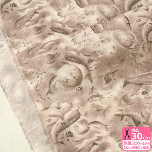 yoeBvgzXander/U_[i363J6431 AjLIBERTY 2022SS PARADISE LANDSy^i[EnEzz 3(30cm)10cmP 4840 65126