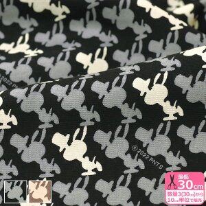 yXk[s[zSNVGbgiIbNXj IbNXn VGbg l LN^[ LN^[nynEzz803339 803346 3(30cm)10cmP 7969