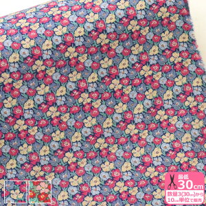 yoeBvgzGA[RbgAnemones/AllYi84-3334107-CHA 84A 84FjH~fށynEzz 3(30cm)10cmP 6502 65126 844860