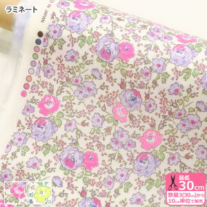 y_tf[̓|Cg10{zyoeBvgz~l[gFelicite/tFVei97-3637113N-ZZD J22A J22BjlIJ[ uF LIBERTY 2022SS Neon LibertyynEzz rjR rj[R[eB