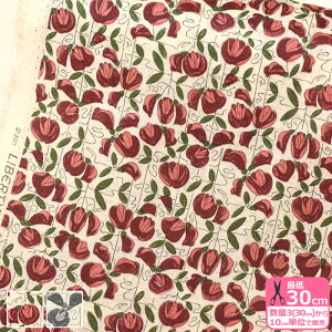 yubNtCf[̓|Cg5{zyoeBvgzt_[Xl Wisteria Trellis/EBXeAEgXiDC29103-LMD J16A J22BjLIBERTY 2022SS ynEzz 3(30cm)10cmP 9615 