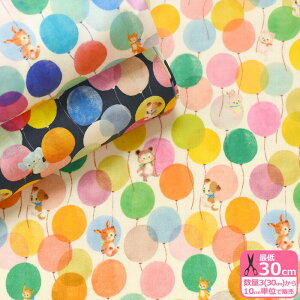 y22fabriczo[hi60[jJtȕDƓlbg艿i ɂɂt@ubNynEzzDP-4400-11 3(30cm)10cmP