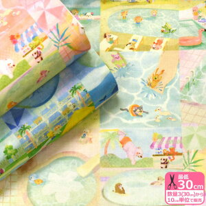 y22fabriczv[Oi60[jv[ŗVԓlbg艿i ɂɂt@ubNynEzzDP-4400-12 3(30cm)10cmP