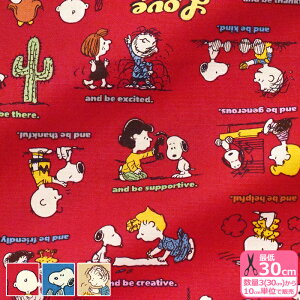 yXk[s[ztYiIbNXjXk[s[ƒԂ̓`fUCyLN^[nEzzG-3595-1 3(30cm)10cmP