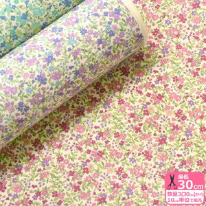 yC[OXӍՂ̓|Cg3{zt[[tiu[hj̃Rbg100ԕRbg΂₵ynEzzKTS2704 3(30cm)10cmP