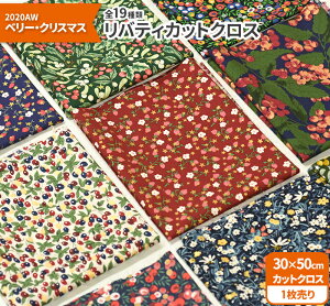 yoeBvgzJbgNX2020AW x[ENX}X 19ށi30×50cmjynEzz 65126