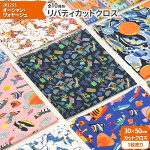 yubNtCf[̓|Cg5{zyoeBvgzJbgNX2022SSI[VEH[W 10ށi30×50cmj^i[ynEzz2787 65126