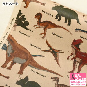 yubNtCf[̓|Cg5{z~l[g Dinosaurs _Ci\[YcC~l[gRbg΂₵ynEzzLKTS6036 3(30cm)10cmP