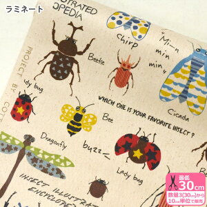 yubNtCf[̓|Cg5{z~l[g  cC~l[g rjR rj[R[eBO INSECT  NK^ egEV Jt  ̕ Rbg΂₵y