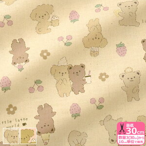 y}\̓|Cg3{zylittle latte worldzƃXC[ciV[`O j   ݃J[  ynEzz3(30cm)10cmP 2395