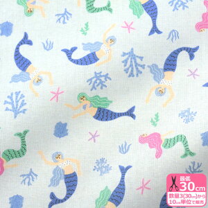 yAqua room timez}[ChiV[`OjKOKKAynEzzYQA-11000-1 3(30cm)10cmP