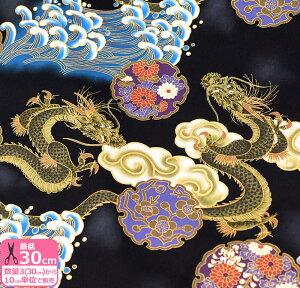 y_tf[̓|Cg10{zʘavg _ԂɔgԂɗ̐} a a    S[h  a RbgynEzz3(30cm)10cmP