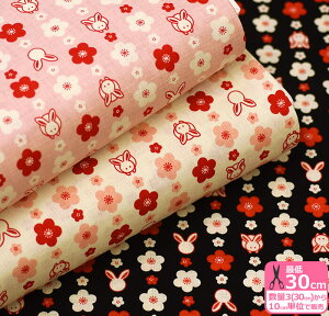 y_tf[̓|Cg10{z܂eƔ~ihr[NXjAP25904-1 ET ԕynEzz110cm 100110cm/̐́u3v