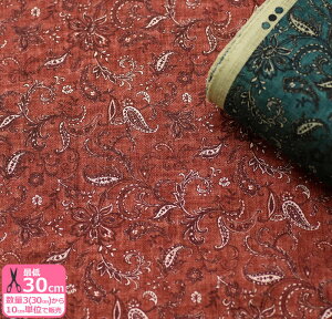 yubNtCf[̓|Cg5{zavg 󑊉 l a  t[  a  bh lCr[ B4221ZynEzz3(30cm)10cmP 374314