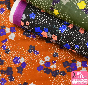 yechinozfloret _uK[[ԂƃhbgL G`mKOKKAynEzzEKX-97500-501110cm/̐́u3v