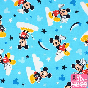 y~bL[}EXz_~bL[iIbNXj ~bL[ IbNXn LN^[n LN^[ fBYj[ GR-1110-1ynEzz3(30cm)10cmP