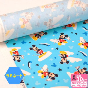 y}\̓|Cg3{z~l[gy~bL[}EXz_~bL[ rjR rj[R[eBO ~bL[ fBYj[ ~l[gn GRL-1110-1ynEzz3(30cm)10cmP